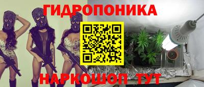 индика Новокубанск