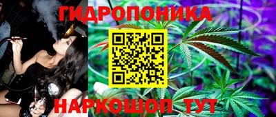 индика Новокубанск