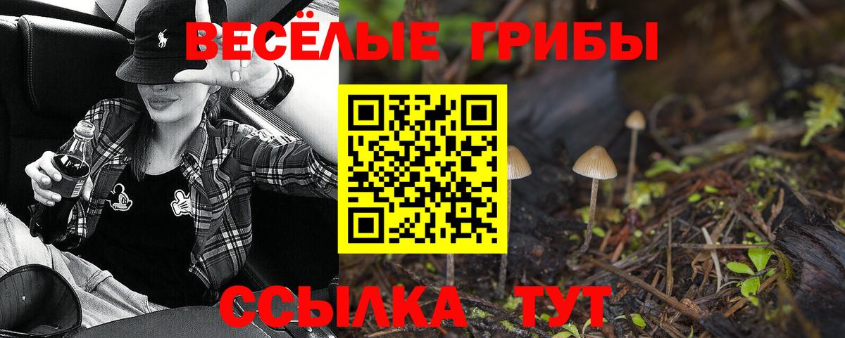 Рославль  Галлюциногенные грибы Psilocybe  Вход с VPN 