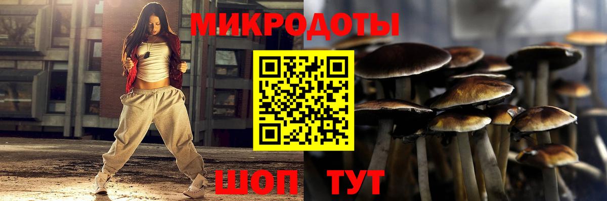Псилоцибиновые грибы Psilocybine cubensis Рославль
